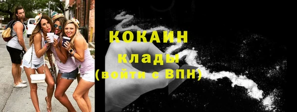 винт Абаза