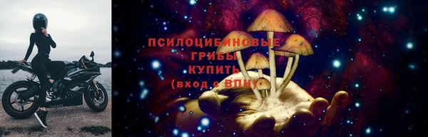винт Абаза